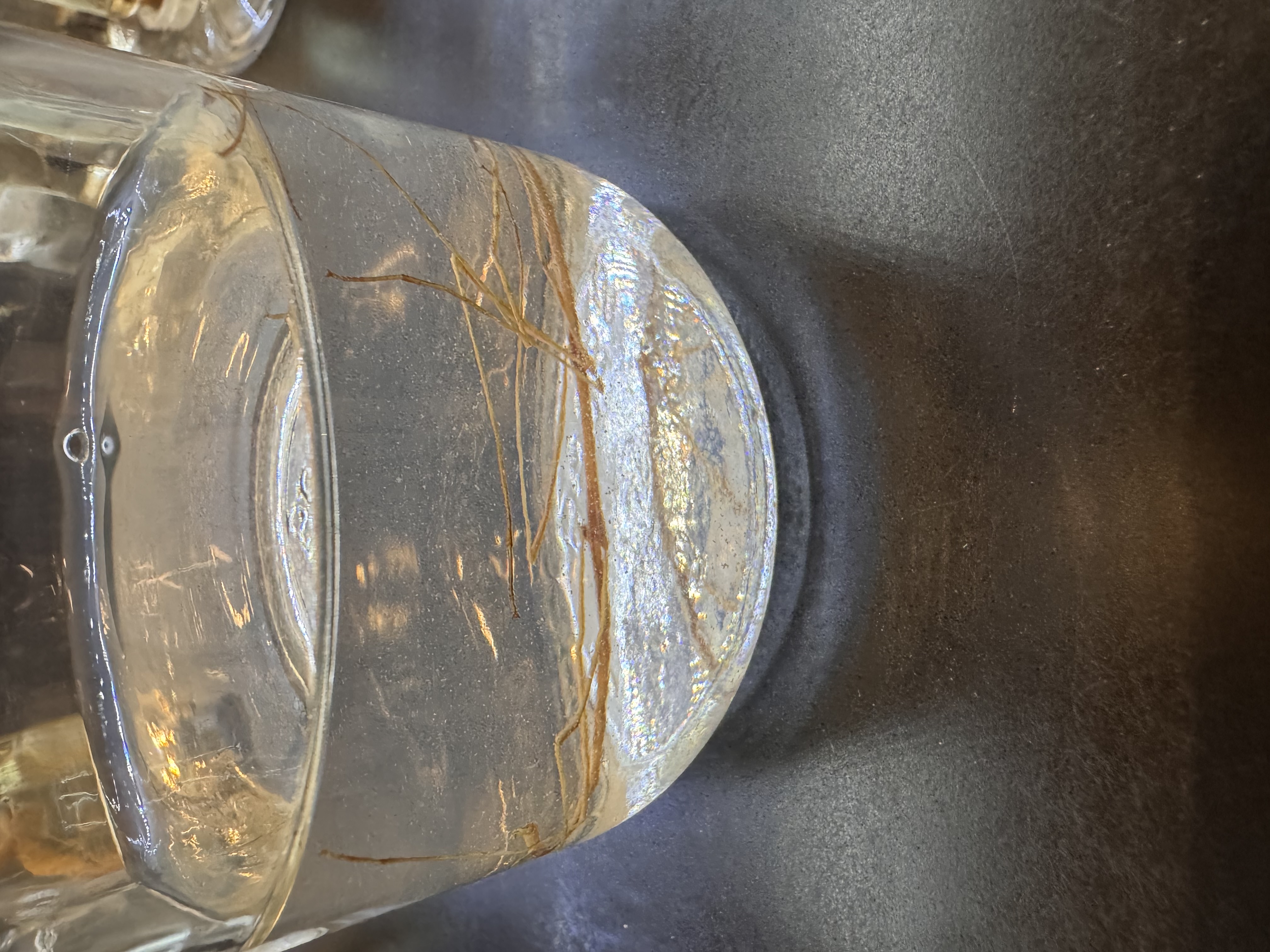 <p>Walking stick</p>