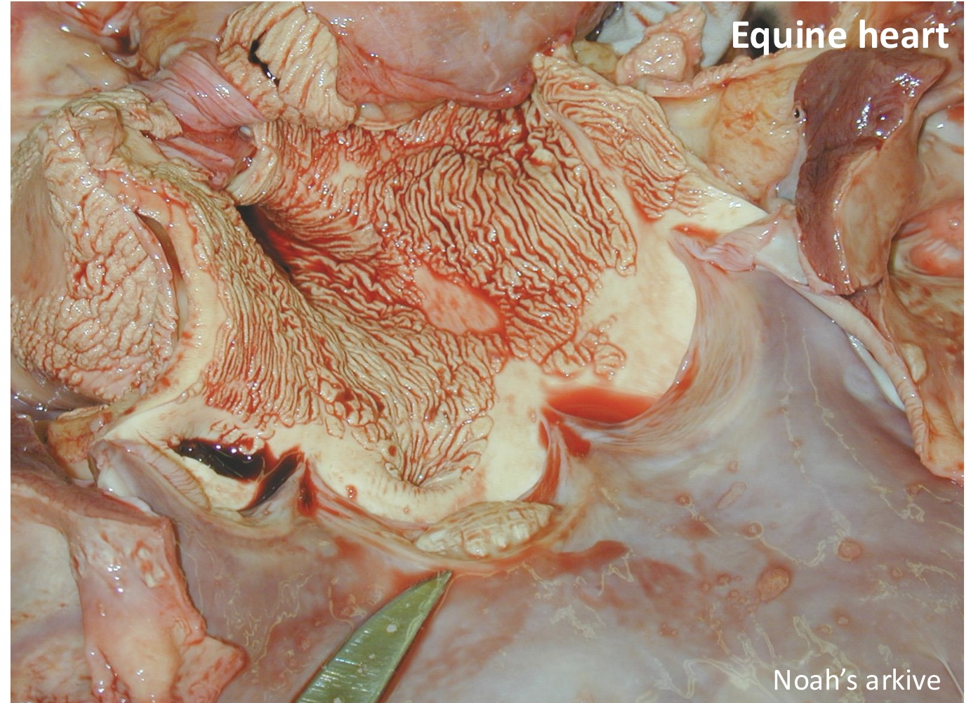 <p>what is this a picture of?</p>