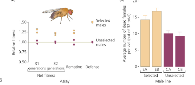<p><strong>Genomic Imprinting: </strong>Alleles such as IGF-II result in embryos outcompeting other males’ embryos. Genomic imprinting occurs when male and female alleles contain distinct chemical markers and are transcribed differently.</p><p></p><p>Genomic imprinting is when a gene's expression depends on whether it is inherited from the mother or the father, due to chemical "marks" added during gamete formation. It often evolves in animals with placental development, like mammals, where paternal and maternal genes may have conflicting interests over maternal resource allocation to offspring. For example, paternal genes may push for more growth (e.g., IGF-II) to favor their own offspring, while maternal genes may limit this to conserve resources for future reproduction. Imprinting is expected in species with internal development and multiple paternity, but not in species where embryos are provisioned before fertilization or where all offspring share the same father.</p>
