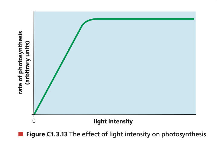 <p></p><p> en la tasa de fotosíntesis. A medida que aumenta la intensidad de luz, la tasa de fotosíntesis también aumenta, hasta alcanzar un nivel máximo donde otros factores pueden limitar el proceso. </p>