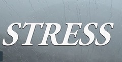 <p>The response of your body and mind to being challenged or threatened is _____</p>