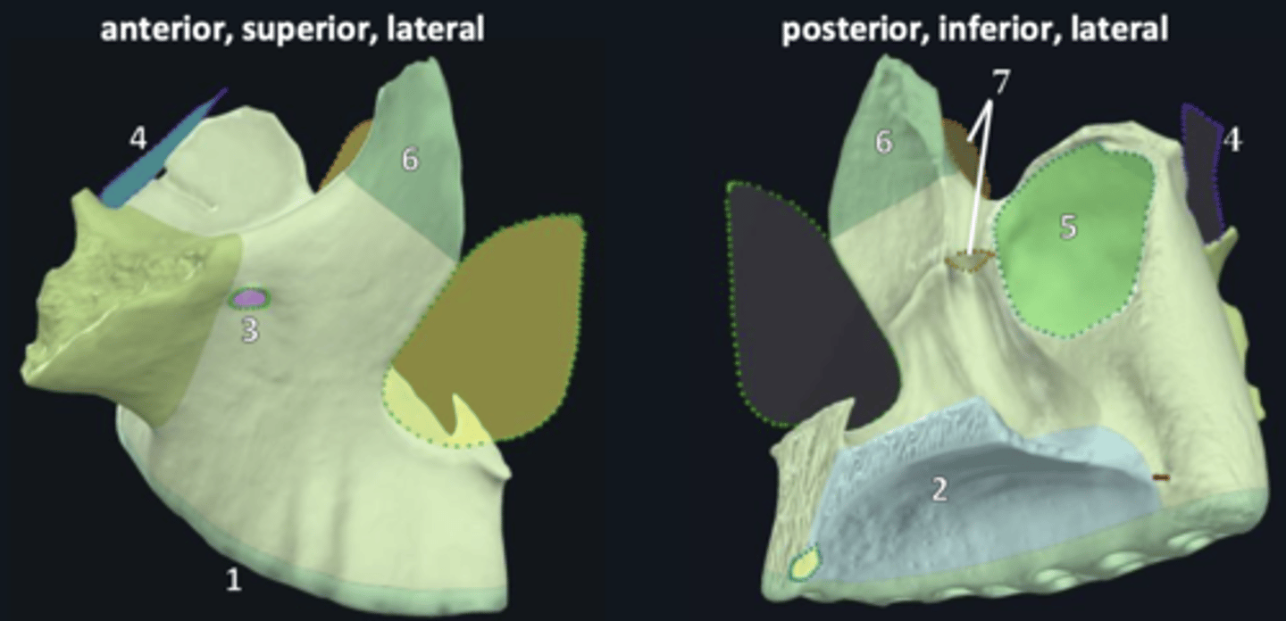 <p>3</p>