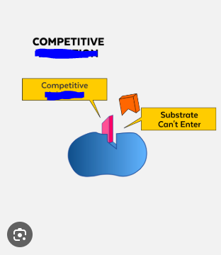 <p>A molecule that prevents/inhibits the catalysis of a substrate by an enzyme. This prevention can either be through competitive or non-competitive inhibition. Thus these can either be competitive or noncompetitive ______.</p><p>If they are noncompetitive a reaction will never reach its maximum rate.</p><p>If they are competitive a reaction will eventually reach its maximum rate, just more slowly.</p><p>The picture attached shows a competitive ______.</p><p>These decrease the activity of an enzyme.</p>