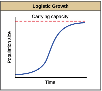 <p>S-curve, rate of growth grows then shrinks because of carrying capacity</p>
