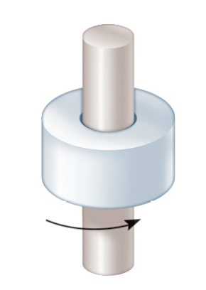 What type of synovial joint is listed in the picture?
