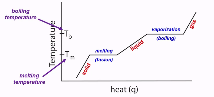 <p>A diagram that shows how a substance changes phases (from a solid to a liquid to a gas) as temperature is raised.</p>