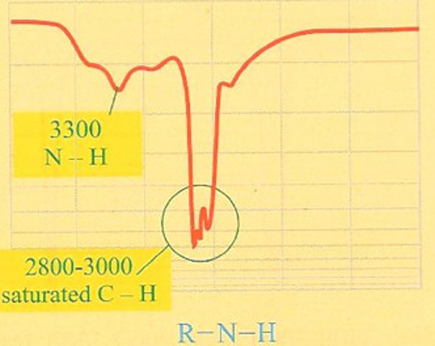 <p>3300 cm-1 sharp</p><p>two peak if primary</p><p>one peak if secondary</p>