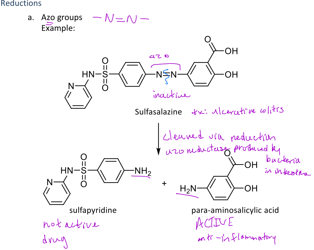 <p>A type of reduction reaction that occurs in phase 1 metabolism that <em>cleaves an azo group</em> </p><p>Ex. Sulfasalazine contains an azo group that is cleaved via reduction with <em>azo reductase enzymes</em> which creates <em>sulfapyridine and para-aminosalicylic acid (active component)</em></p>