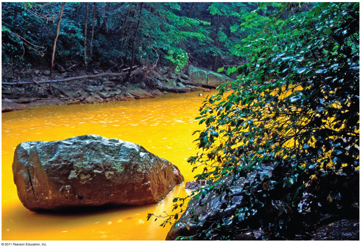 <p><span><span>The runoff from mining operations releases acid and heavy metals kills all aquatic life.</span></span></p>