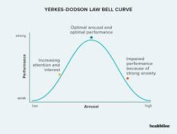 <p>Also known as inverted-u theory</p><ul><li><p>There is an optimum level of anxiety</p></li><li><p>Too high is just as bad as too low</p></li></ul>