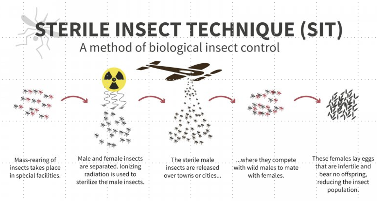 <ul><li><p>increase in white-tailed deer population</p></li><li><p>increase in feral hog population</p></li><li><p>Reduced the amount of labor needed on ranches</p></li></ul><p></p>