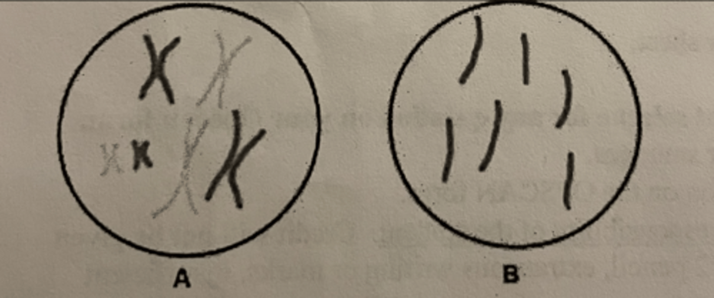 <p>a. 6, 6</p>