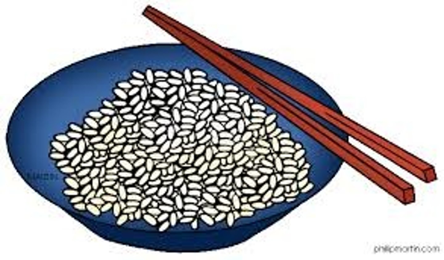 <p>rice</p>