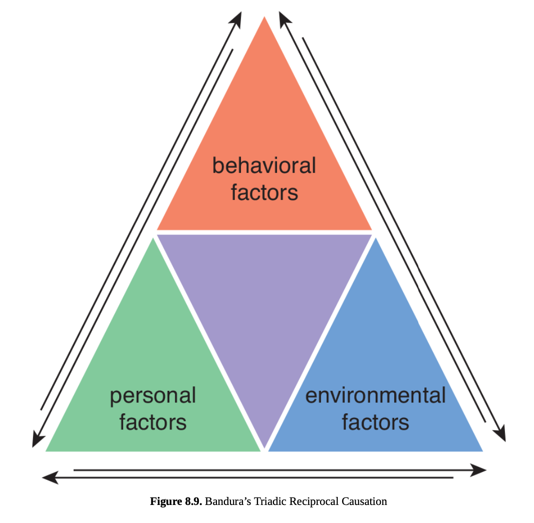 <p>social cognitive theory </p>