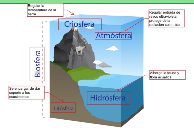<p>La biosfera en sí es una de las 4 capas que conforman la Tierra:</p><p class="has-focus"></p><p class="has-focus"><br>1- Criosfera</p><p class="has-focus">2- Atmósfera </p><p class="has-focus">3- Litósfera </p><p class="has-focus">4- Hidrósfera </p><p class="has-focus"></p>