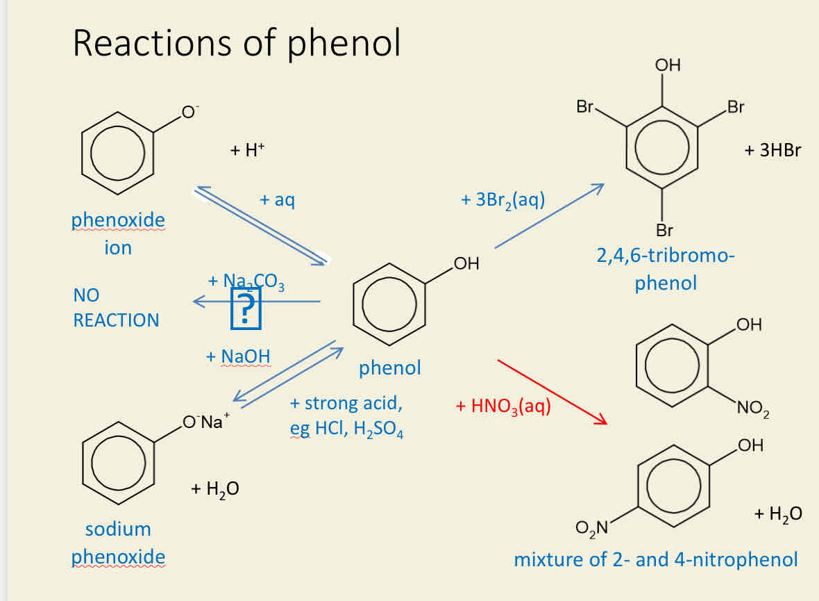 <p>•Phenol reacts with water (aq) to form phenoxide ion and H+ ion</p><p>•No reaction occurs between phenol and carbonate</p><p>•Phenol reacts with sodium hydroxide (NAOH) to form sodium phenoxide and water.</p><p>To turn sodium phenoxide back to phenol needs to be a strong acid eg: HCl or H2SO4</p><p>•phenol reacts with 3 molecules of bromine water (3Br2 aq) to form 2,4,6 tribromophenol and 3 molecules of hydrogen bromide.</p><p>•Phenol can react with nitric acid (HNO3 (aq) to form</p><p>a mixture of 2 nitrophenol and 4 nitrophenol with water and a product too.</p><p></p>