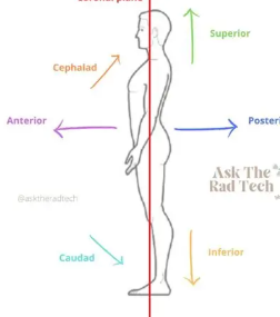 <p>below</p>