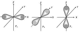 <p>3 orbitals, can hold 6 electrons</p>