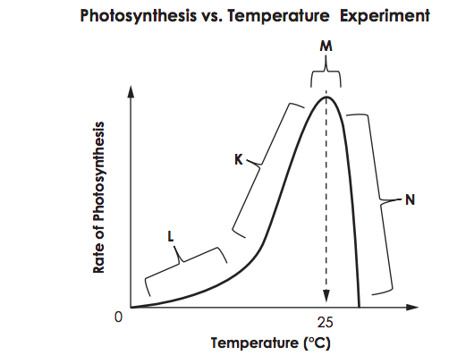 <p>Which statement explains the effect of temperature on the rate of photosynthesis?</p>