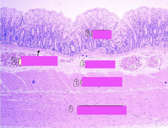 <p>what is 1?</p>