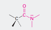 <p>What is the name of this functional group?</p>