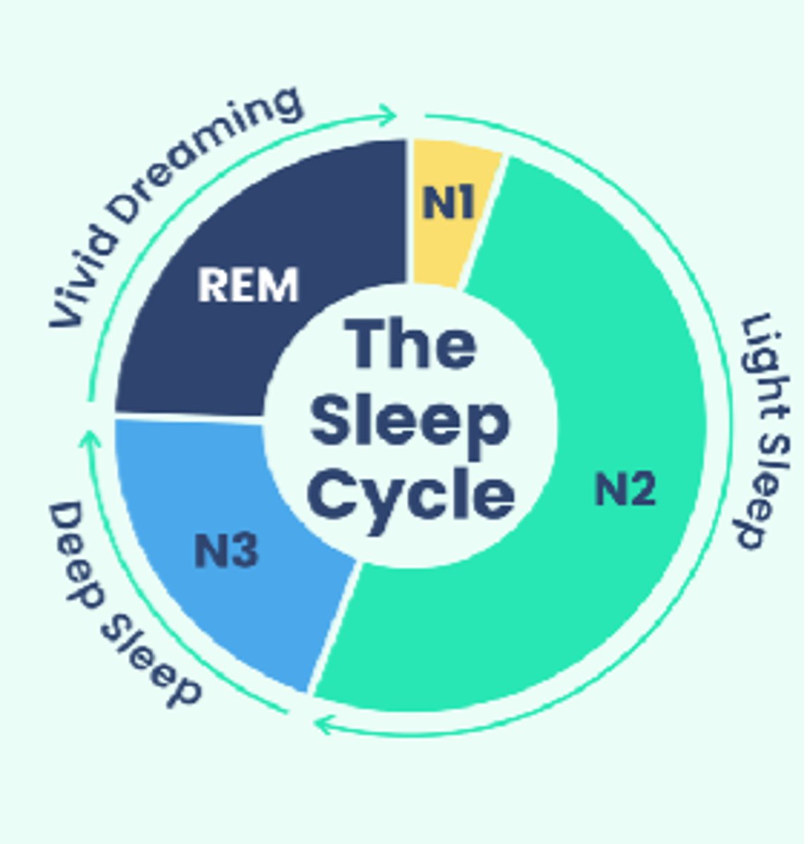 <p>- REM</p><p>- Restores mind</p><p>- Vivid dreams</p><p>- Active brain processing events of day and saves in LTM</p><p>- No muscle activity</p>