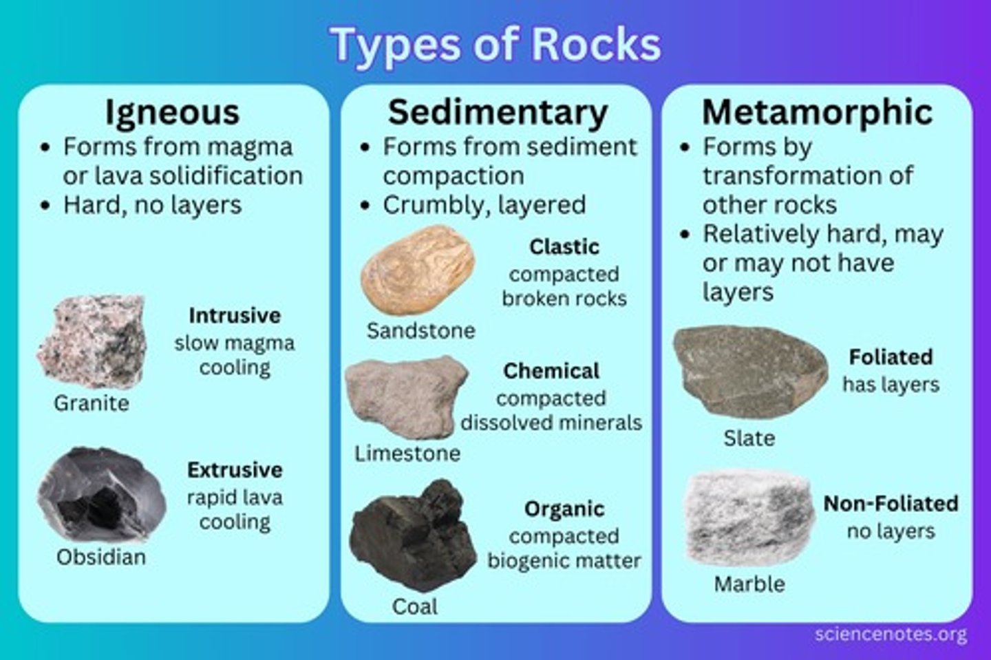 <p>A type of rock that forms when particles from other rocks or the remains of plants and animals are pressed and cemented together</p>