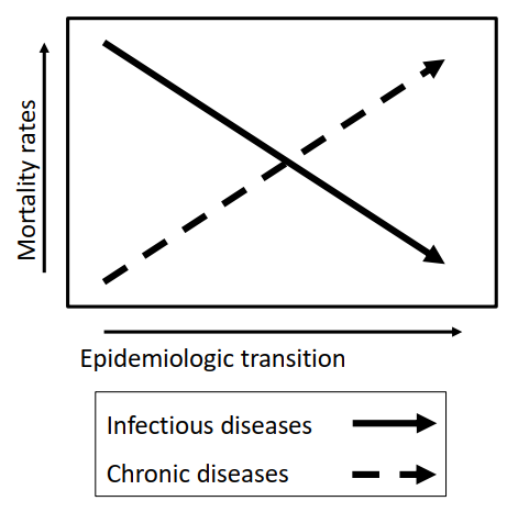 <p>Motality rates of infectious diseases decrease and chronic disease motality rates increase. </p><p></p><p>But it is important to remember that these two interact. Bidirectional connections can be seen between many infections and NCDs - meaning that one can cause the other in both directions.</p>