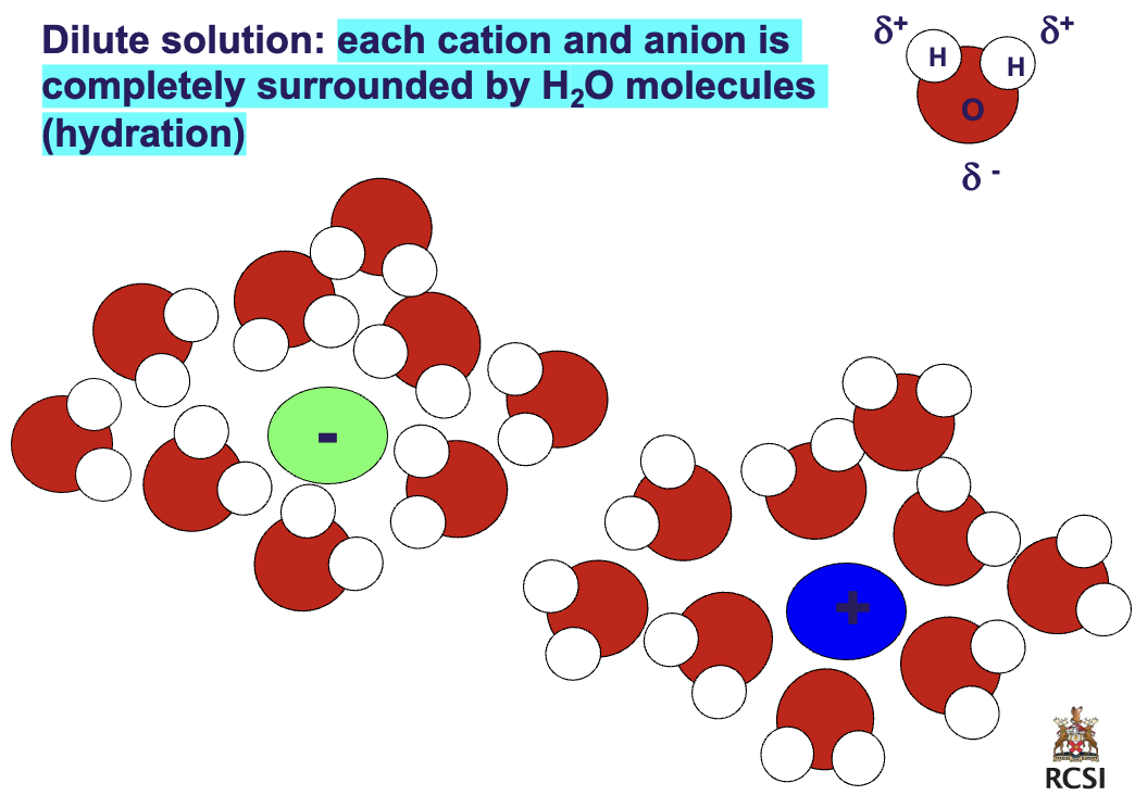 <p>Dilute vs. concentrated solution</p>