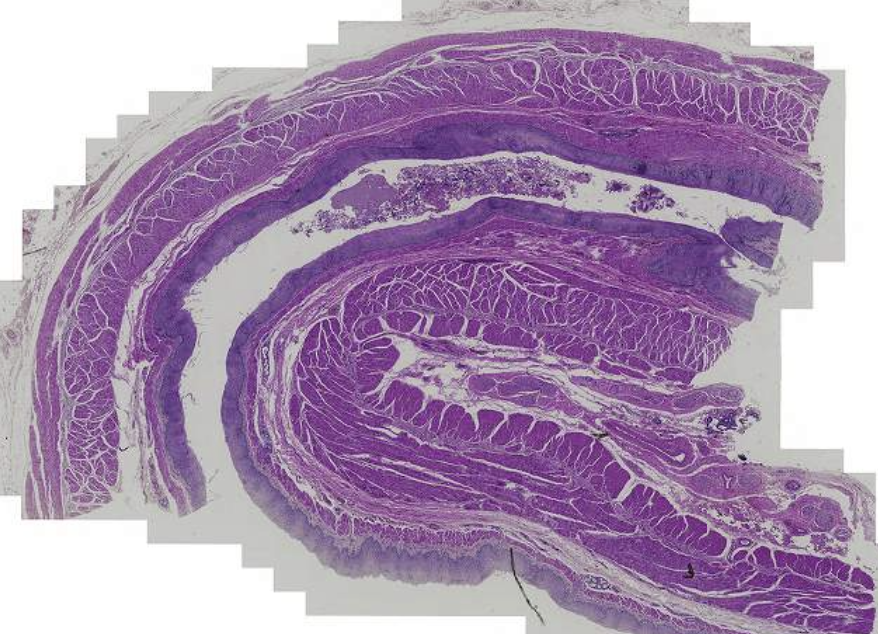 <p>What is this?</p>