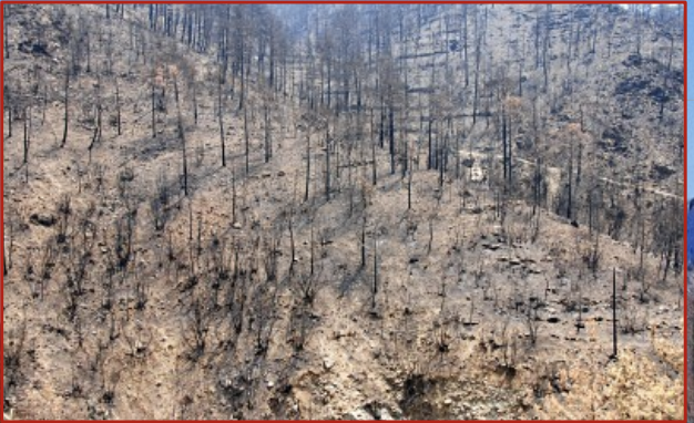 This is the time when which combustion has ceased.

\
There is no longer sufficient heat or fuel to sustain a fire. 