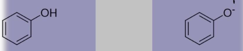 <p>Phenol (arene + OH), Phenoxide ion</p>