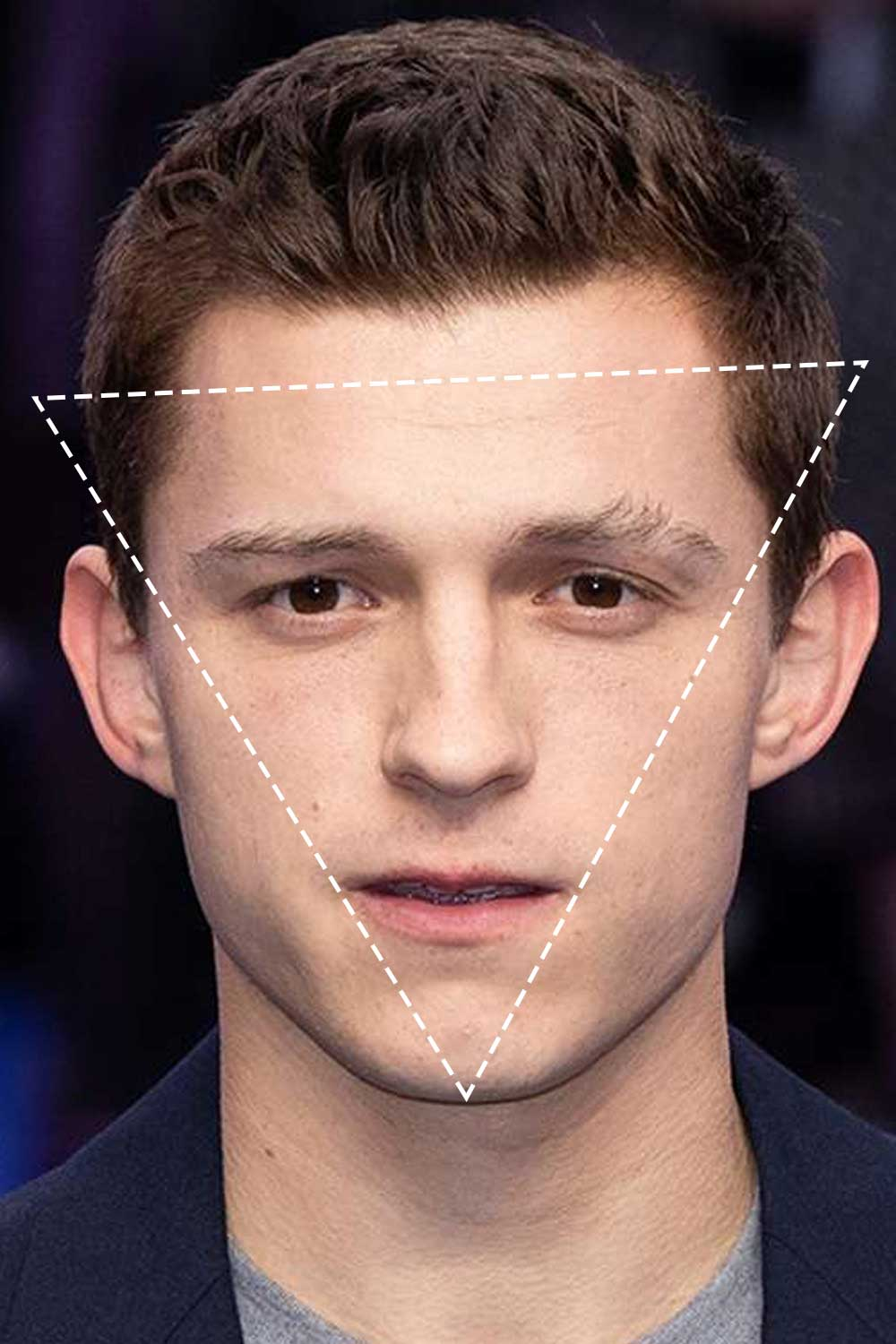 <p>Triangle head shape</p><p>(Tom Holland) </p>