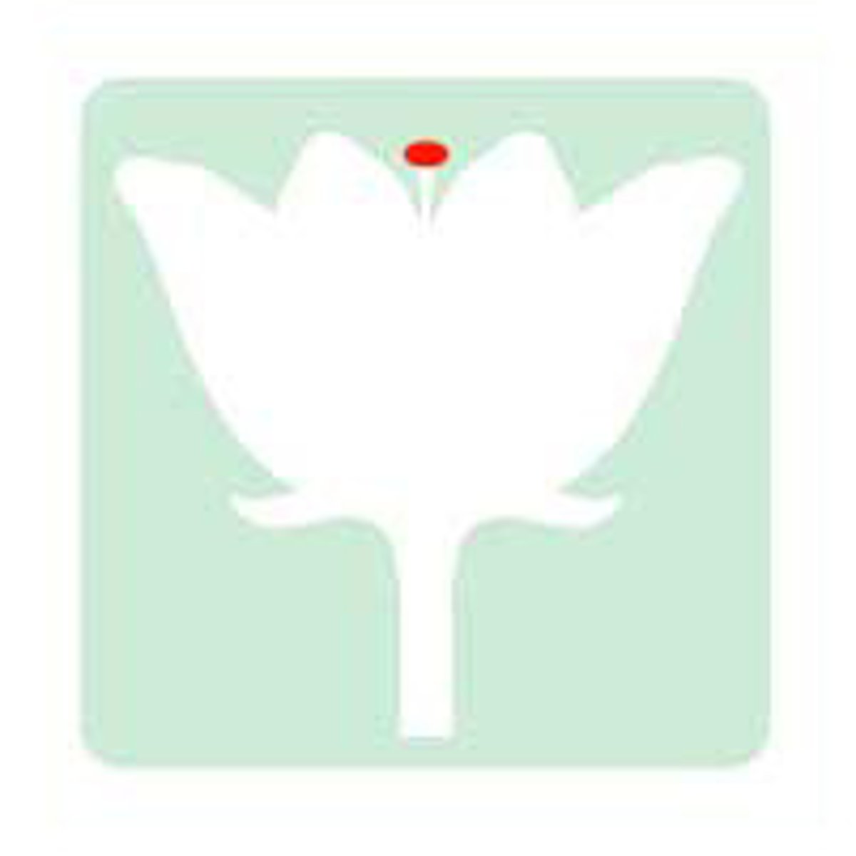 <p>sticky surface where pollen lands</p>