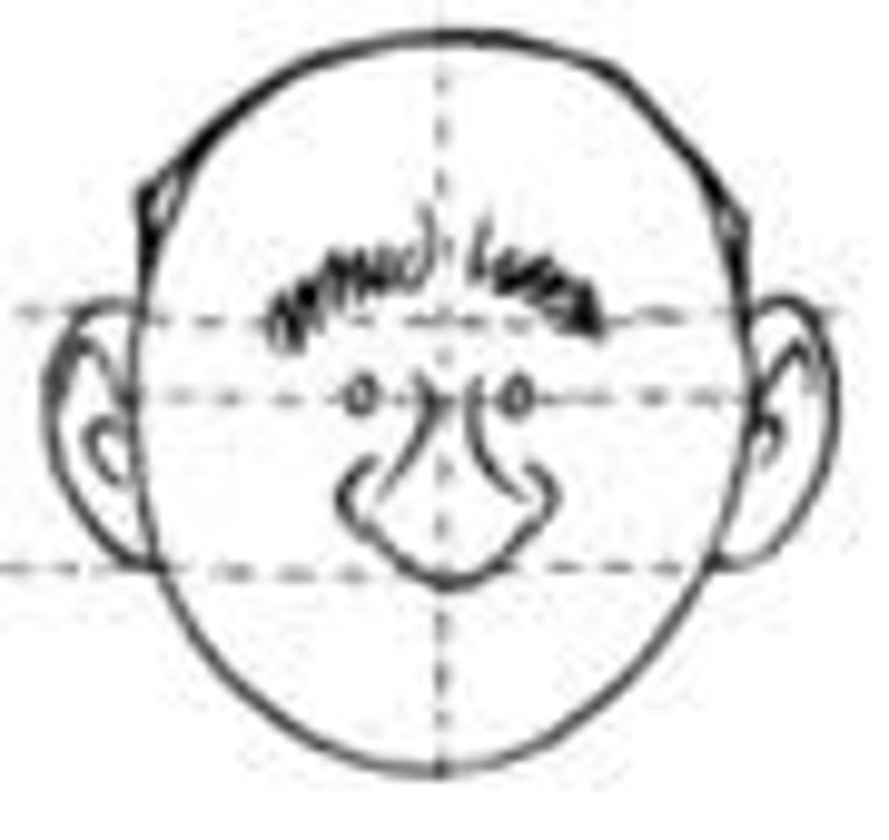 <p>head</p>