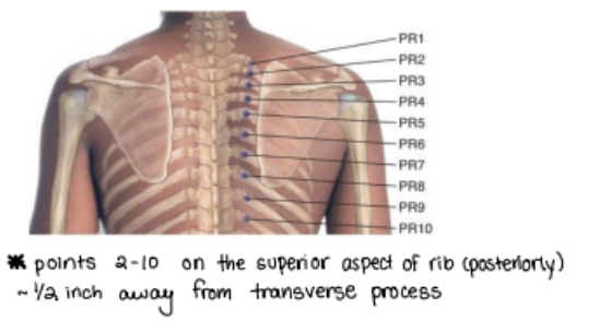 <p>Have patient sit down</p><ul><li><p>E SART</p></li><li><p>Think P1E</p></li><li><p>Don’t forget to use opposite leg to stabilize.</p></li></ul><p></p>