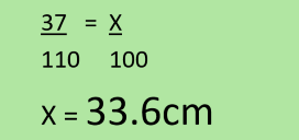 <p>33.6 cm </p>