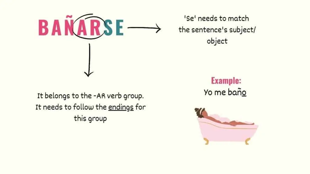 <p>They are reflexive meaning its jointed by an infinitive and a reflexive pronoun. Its useful to talk about activities, routines and commands. Pay attention to the SE at the end of -ARSE<br>Infinitive + Reflective pronoun = reflexive verb<br>EX: Yo - me baño - todos los días. (I shower everyday) </p>