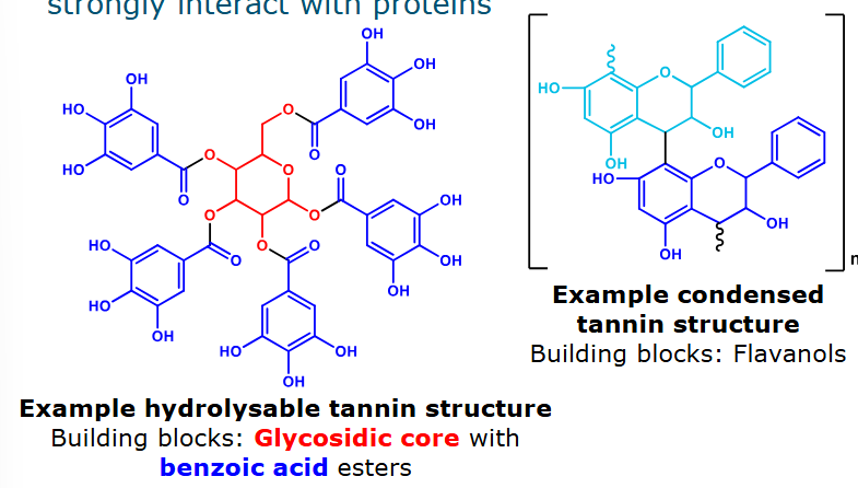 <ul><li><p>Oligo- and polymeric phenolic compounds that strongly interact with proteins</p></li><li><p>Hydrolysable: hydrolysis releases gallic acid</p></li><li><p>Condensed: can be formed by oxidative coupling</p></li></ul><p></p>
