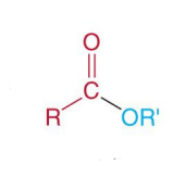 <p>Which compound is the following?</p>