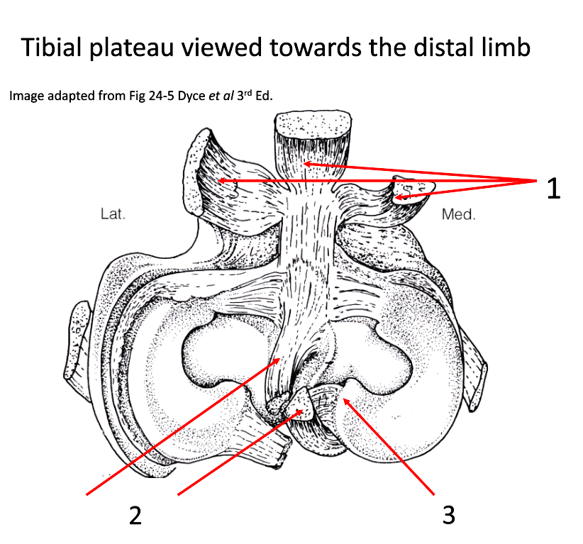 <p>1</p>