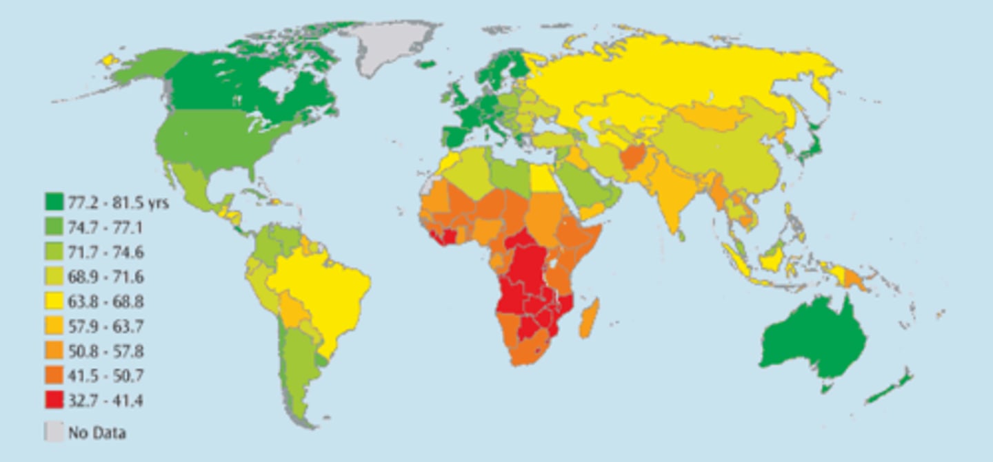 <p>The average number of years an individual can be expected to live, given current social, economic, and medical conditions. Life expectancy at birth is the average number of years a newborn infant can expect to live.</p>