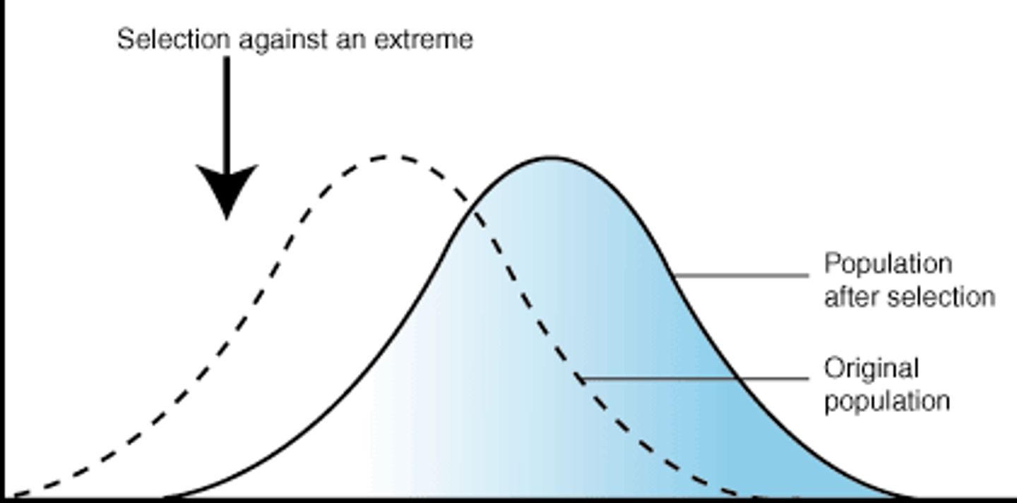 <p>environmental conditions favor individuals with one extreme variation of a trait, leading to a shift in the overall population toward that extreme - antibiotic resistant bacteria</p>