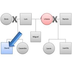 stepson/stepdaughter