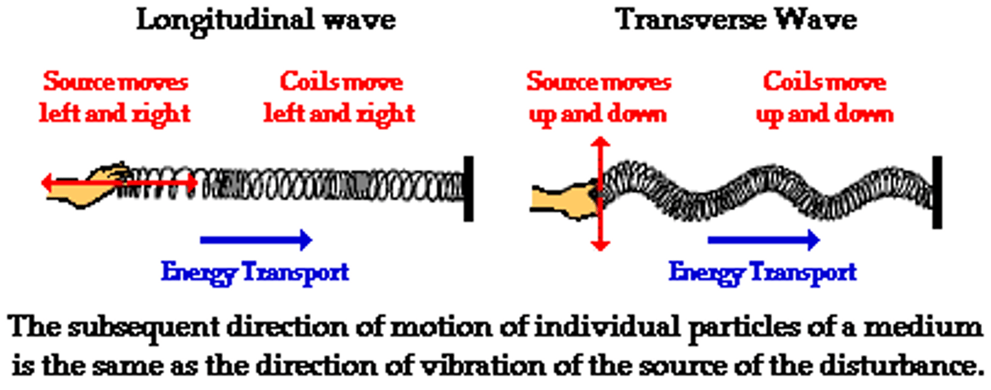 <p>(D) Longitudinal, Transverse<br><br>Sound is considered a Longitudinal wave, and a vibrating guitar string is considered a Transverse wave.</p>