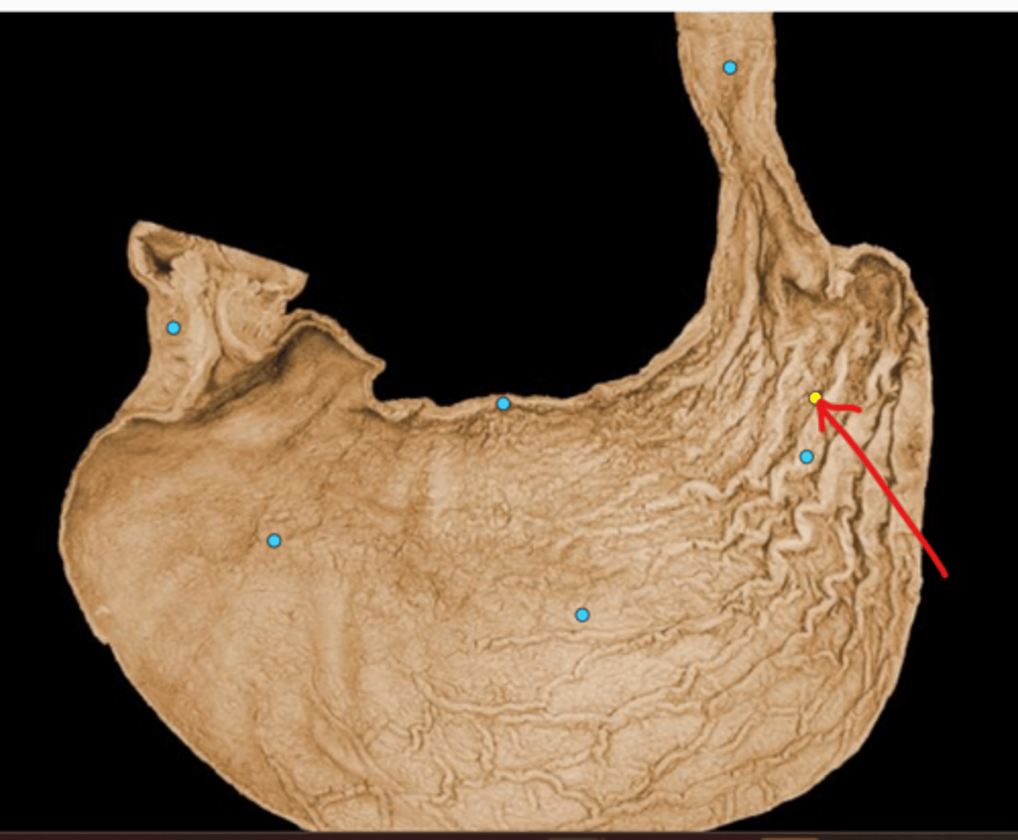 knowt flashcard image