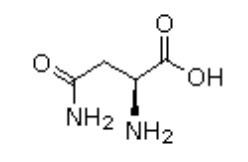 <p>Which amino acid is this (bond-line)?</p>