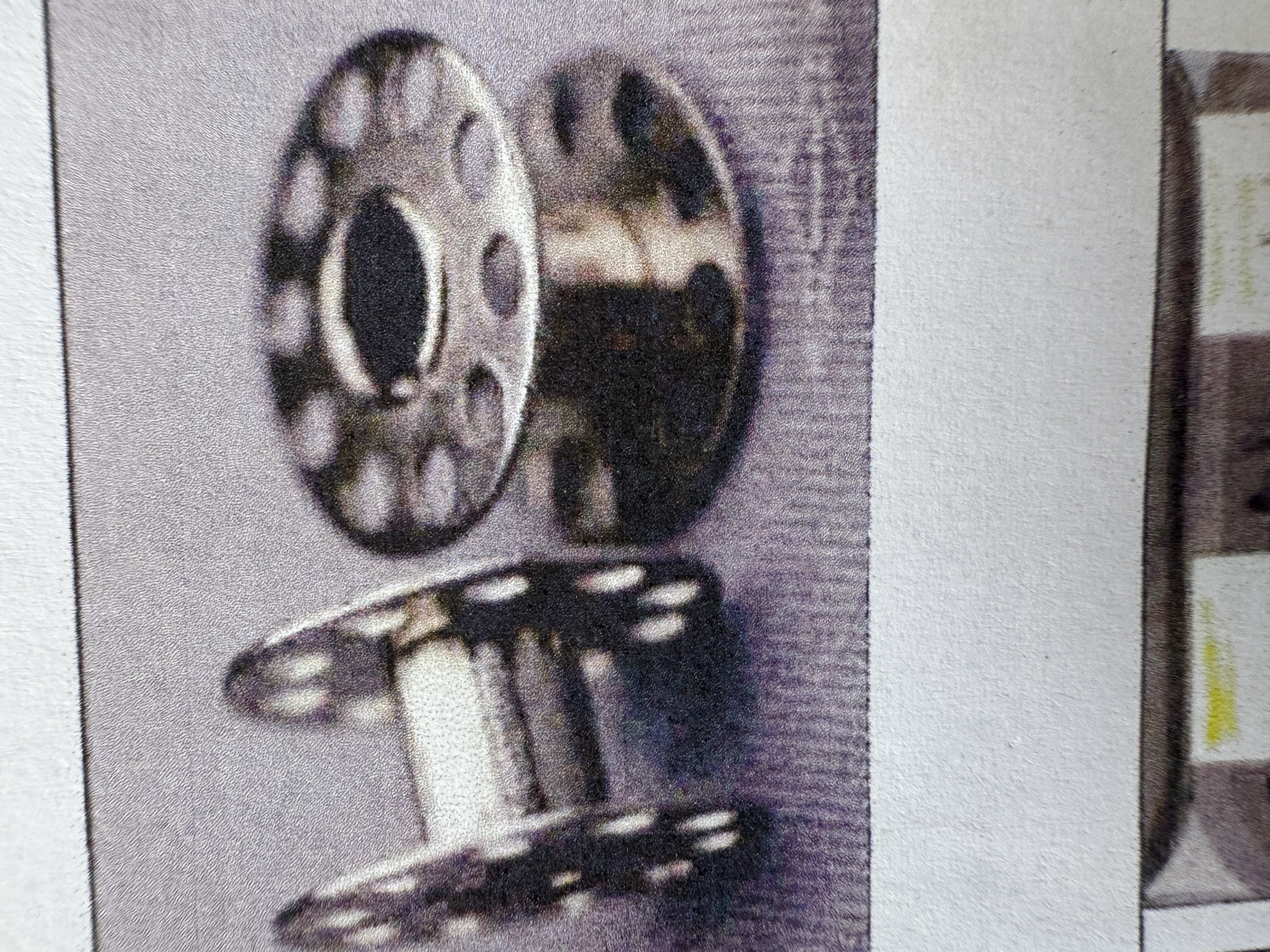 term image