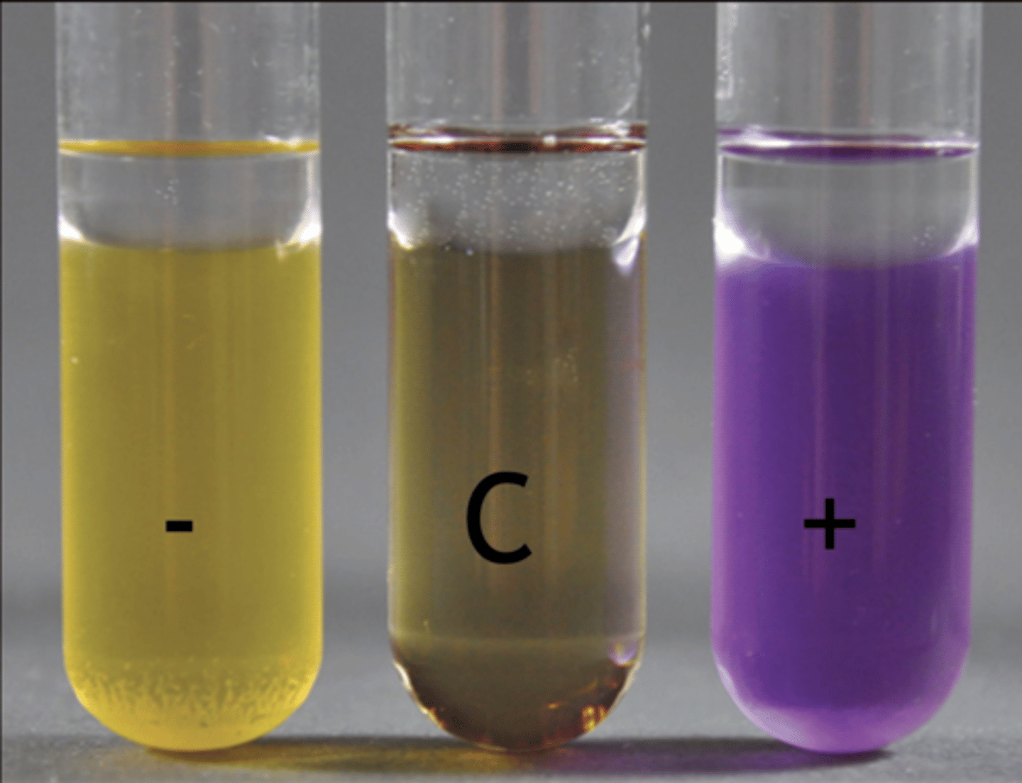 <p>a. Arginine, ornithine, Lysine, sugars</p><p>b. pH indicator: bromocresol purple</p><p>c. mineral oil</p>