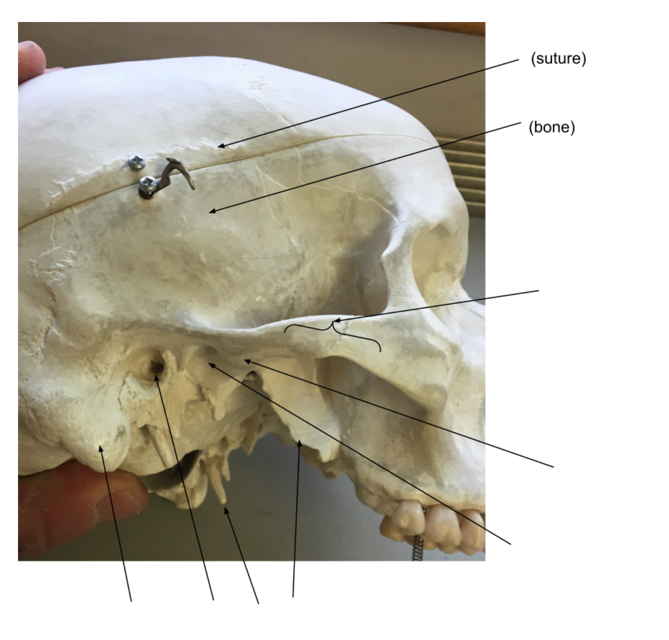 <ol><li><p></p></li><li><p></p></li><li><p></p></li><li><p></p></li><li><p></p></li><li><p></p></li><li><p></p></li><li><p></p></li><li><p></p></li></ol><p></p>